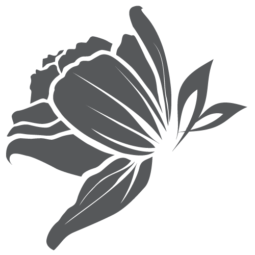 ΓΡΑΦΕΙΑ ΤΕΛΕΤΩΝ ΓΡΗΓΟΡΙΟΥ ΝΙΚ. ΑΡΓΥΡΙΑΔΗ